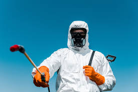 Best Bed Bug Extermination  in Window Rock, AZ